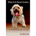 What Is It About Yorkies: Friend or Foe