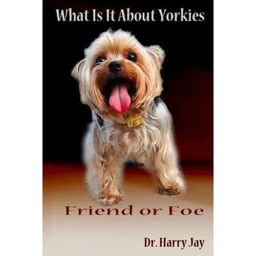 What Is It About Yorkies: Friend or Foe