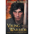 Viking Warrior