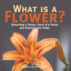 What is a Flower? Dissecting a Flower, Parts of a Flower and Reproductive Roles Grade 6-8 Life Science - Paperback