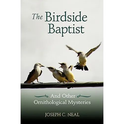 The Birdside Baptist