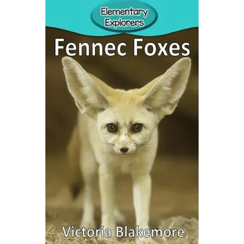 Fennec Foxes