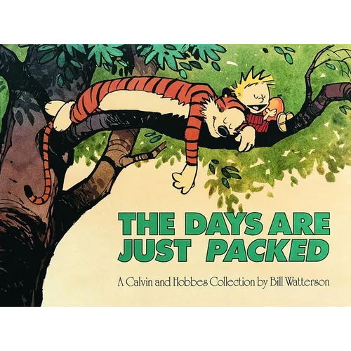 The Days Are Just Packed: A Calvin and Hobbes Collection Volume 9