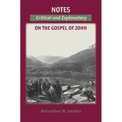 Notes on the Gospels: Critical and Explanatory on John