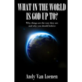What in the World is God Up To?: Why things are the way they are and why you should believe