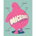 Microbes