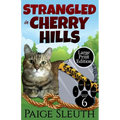 Strangled in Cherry Hills