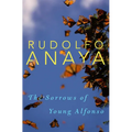 The Sorrows of Young Alfonso: Volume 15