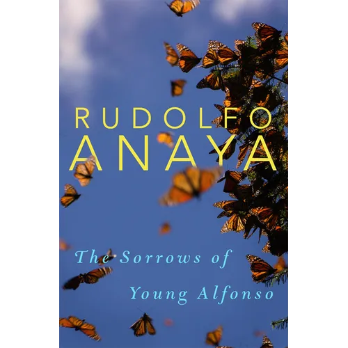 The Sorrows of Young Alfonso: Volume 15