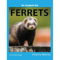 My Favorite Pet: Ferrets