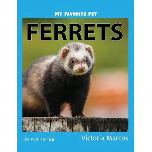 My Favorite Pet: Ferrets