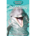 Dolphins
