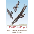 Hawks in Flight