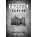 Brzezin Memorial Book