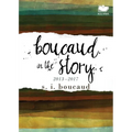 Boucaud in the Story: 2013-2017