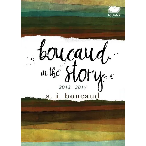 Boucaud in the Story: 2013-2017