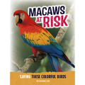 Macaws at Risk: Saving These Colorful Birds