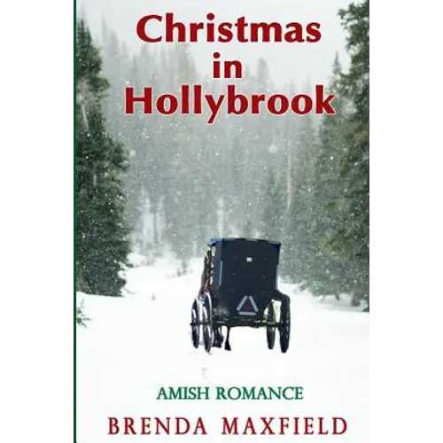 Christmas in Hollybrook: Amish Romance