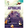 Signs From Pets In The Afterlife: Identifying Messages From Pets In Heaven