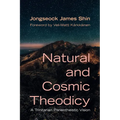 Natural and Cosmic Theodicy: A Trinitarian Panentheistic Vision