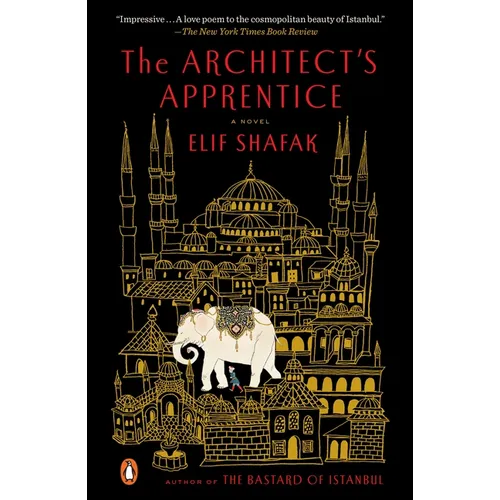 The Architect's Apprentice