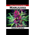 Taboo Topics In The Bible: Marijuana