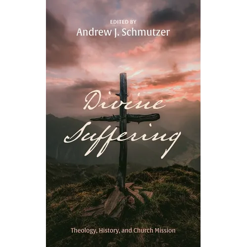 Divine Suffering: Theology, History, and Church Mission