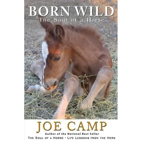 Born Wild - The Soul of a Horse