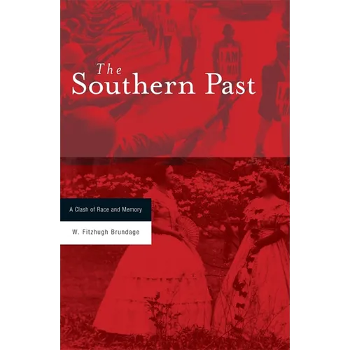 Southern Past: A Clash of Race and Memory