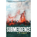 Submergence