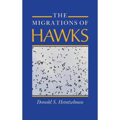 Migrations of Hawks