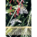 Protect the Butterflies