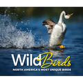 Wild Birds: North America's Most Unique Birds