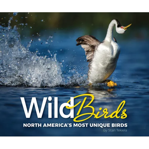 Wild Birds: North America's Most Unique Birds