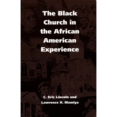 The Black Church in the African American Experience