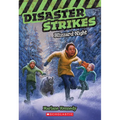 Blizzard Night (Disaster Strikes #3): Volume 3