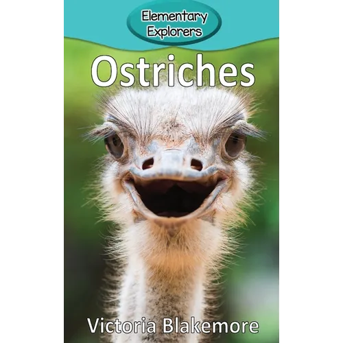 Ostriches
