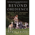 Beyond Obedience: Training with Awareness for You & Your Dog