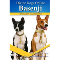 Basenji
