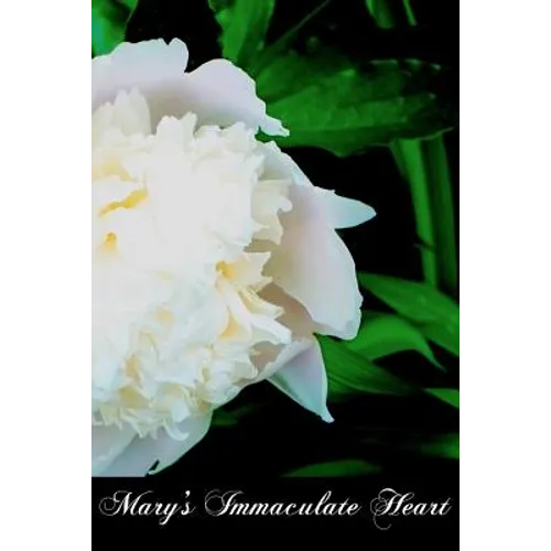 Mary's Immaculate Heart