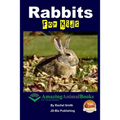 Rabbits For Kids Amazing Animal Books For Young Readers
