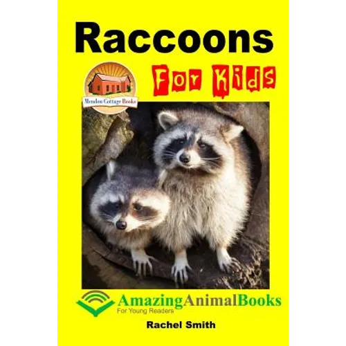 Raccoons For Kids