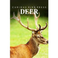Deer - Curious Kids Press