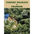 Finding Wildlife In Colorado: Birds, Mammals and Reptiles