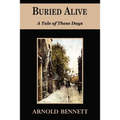 Buried Alive - A Tale of These Days