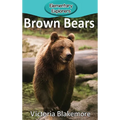 Brown Bears