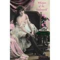 Whispers of the Underworld: Bisbee's Red-Light District