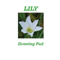 Lily Drawing Pad