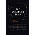The Cybernetic Brain: Sketches of Another Future