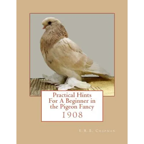 Practical Hints For A Beginner in the Pigeon Fancy